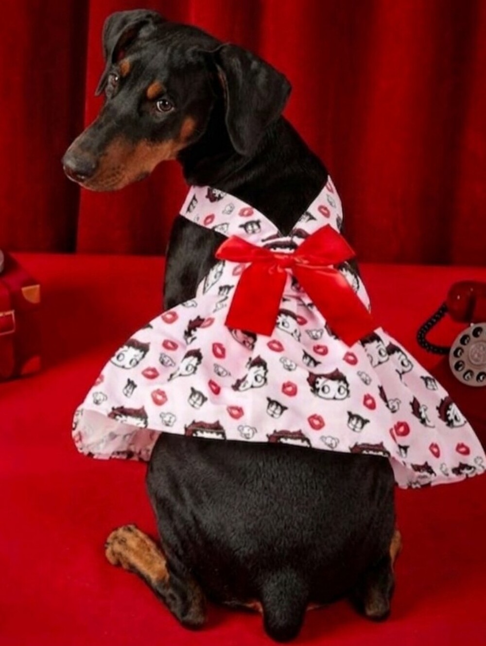 Betty Boop Pink & Red Dog Dress with Bow